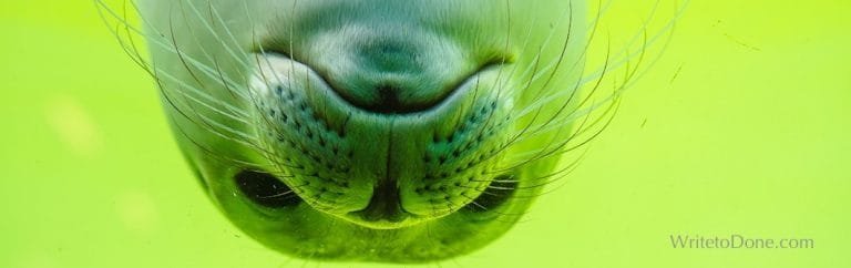 cbacdc3c55214855c5c4975c9e1f57ab.jpg